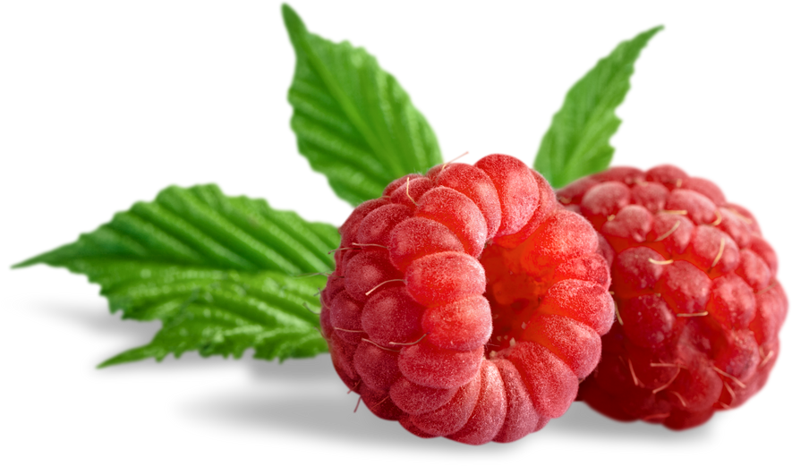A Pair Of Raspberries