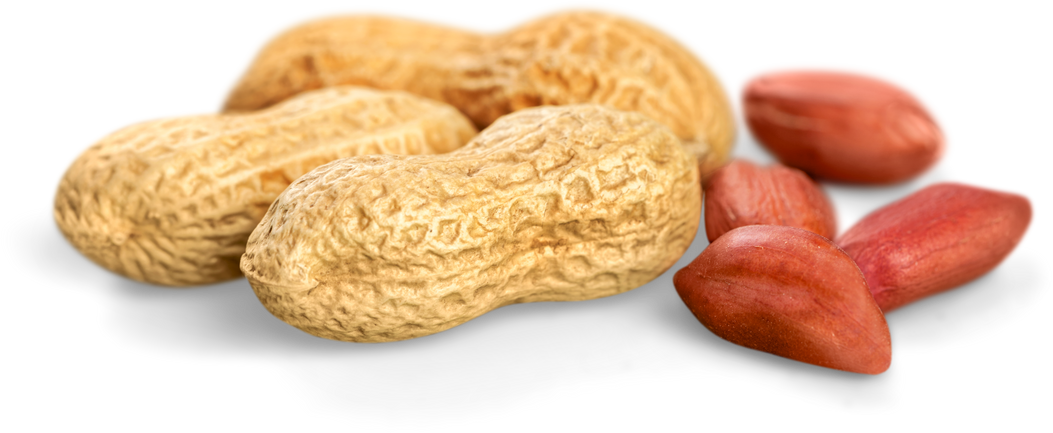 Peanut.