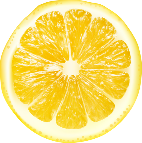 Slice of Lemon 